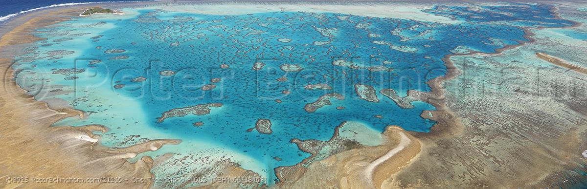 Peter Bellingham Photography One Tree Island - QLD (PBH4 00 18408)